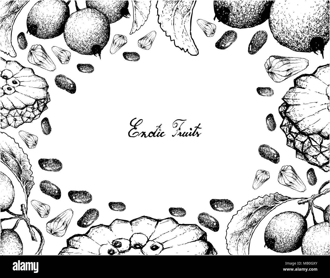 Exotic Fruit, Illustration Frame of Hand Drawn Sketch of Crabapple and Pindaiva, Pindaiba, Pindauva or Perovana Fruits Isolated on White Background. Stock Vector
