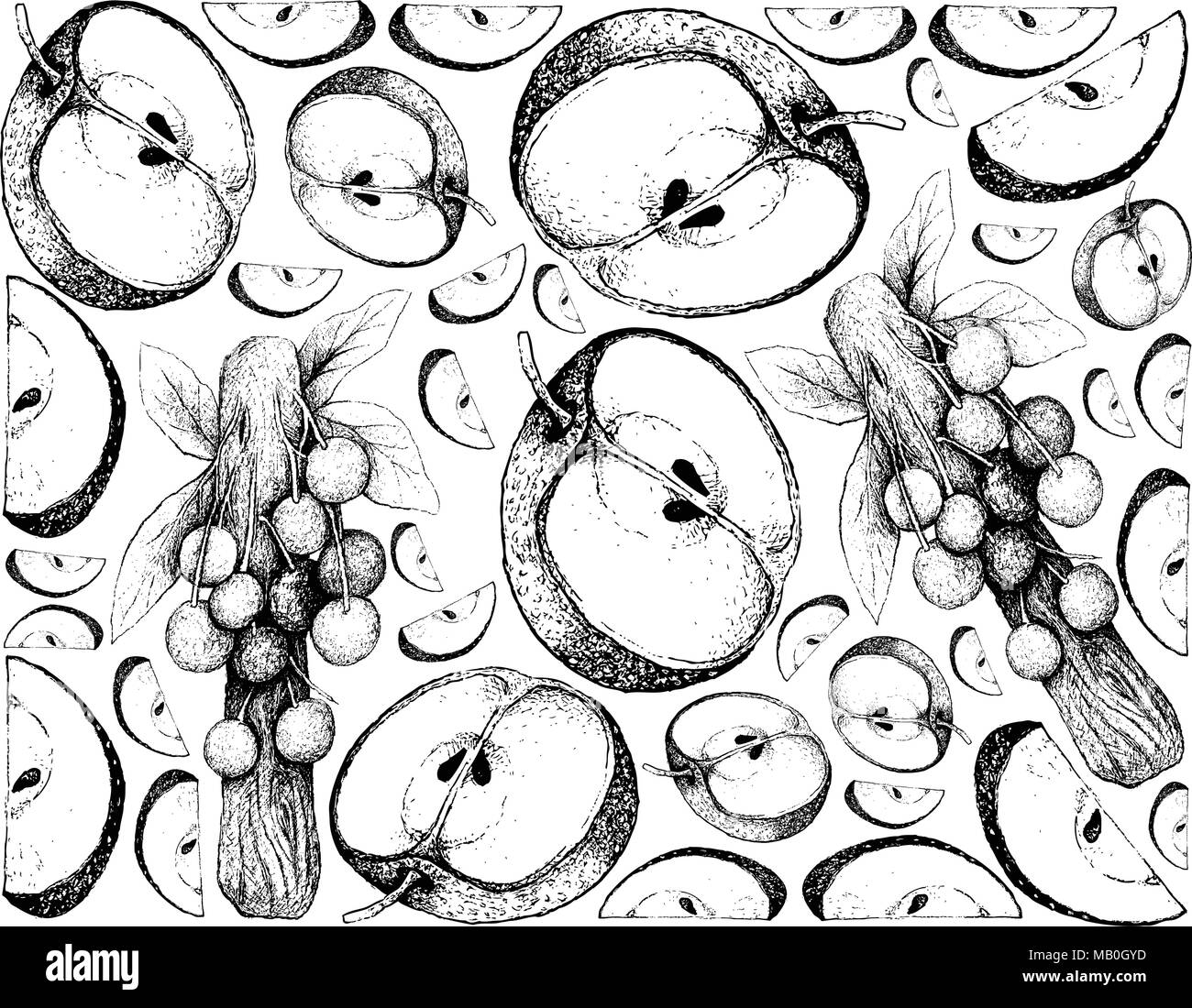 Exotic Fruits, Illustration Wallpaper Background of Hand Drawn Sketch of Nashi Pears, Chinese Pears or Pyrus Pyrifolia Fruits. Stock Vector