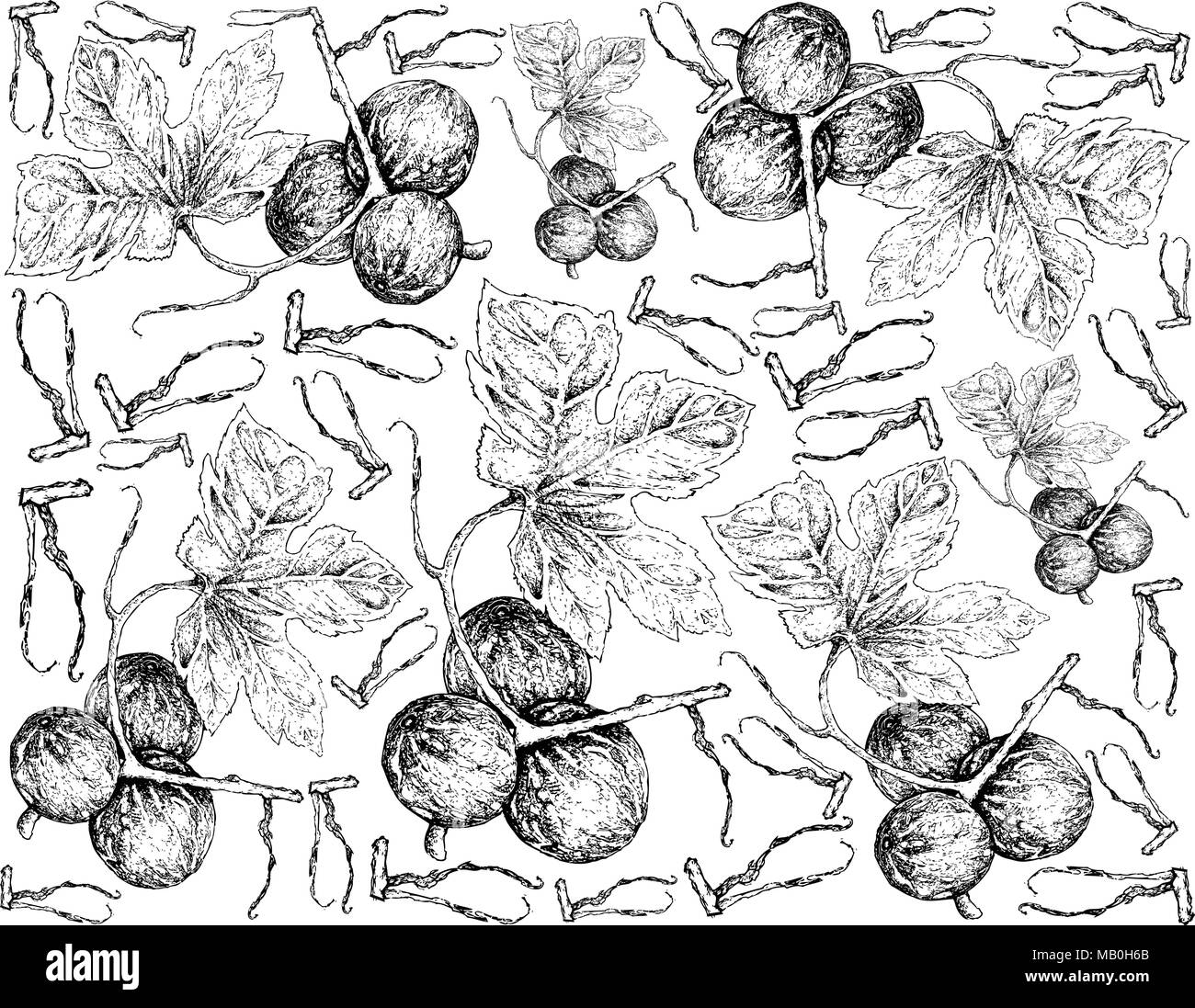 Vegetable and Fruit, Illustration Wallpaper Background of Hand Drawn Sketch of Native Bryony, Striped Cucumber or Diplocyclos Palmatus Fruits. Stock Vector