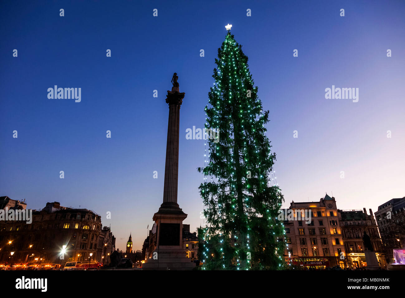 England, London, Trafalgar Square, Christmas Tree and Nelson's Column Stock Photo