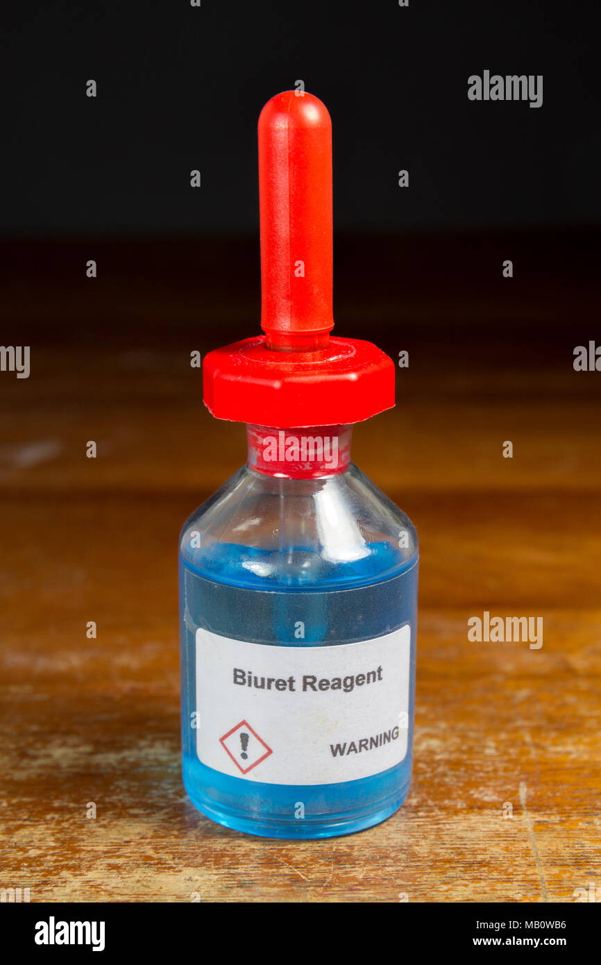 A dropping bottle of biuret reagent as used in a UK secondary school