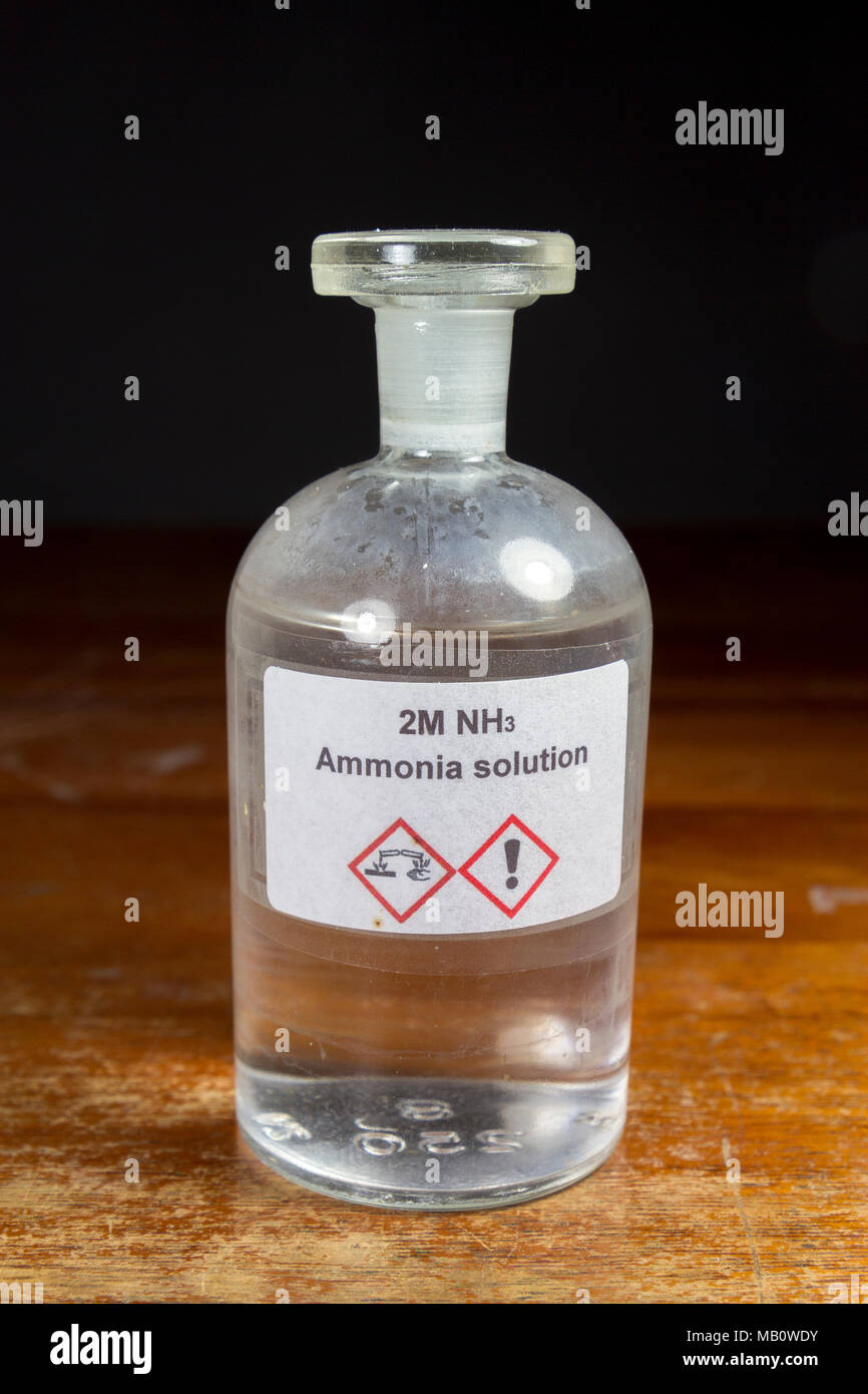 A bottle of 2M Ammonia Solution (NH3) as used in a UK secondary school, London, UK. Stock Photo