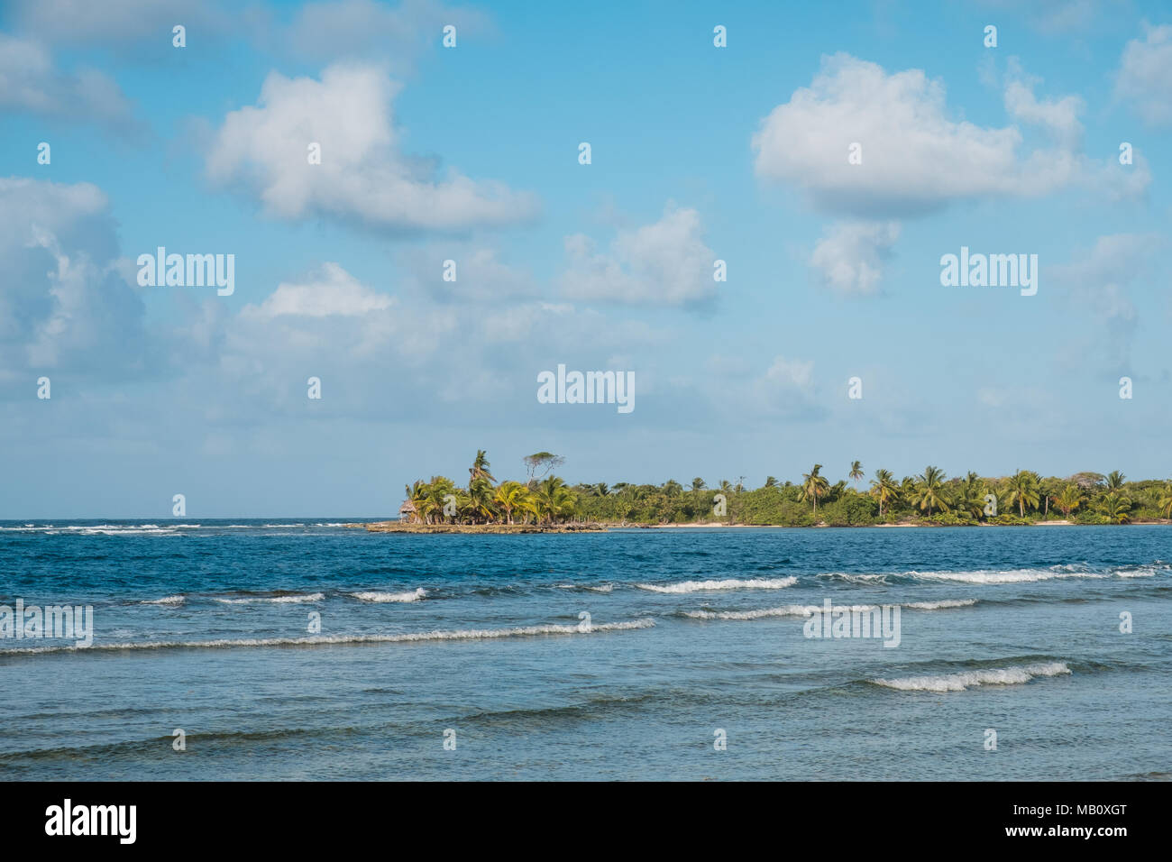 ocean waves blue sky and palm tree island coast Stock Photo