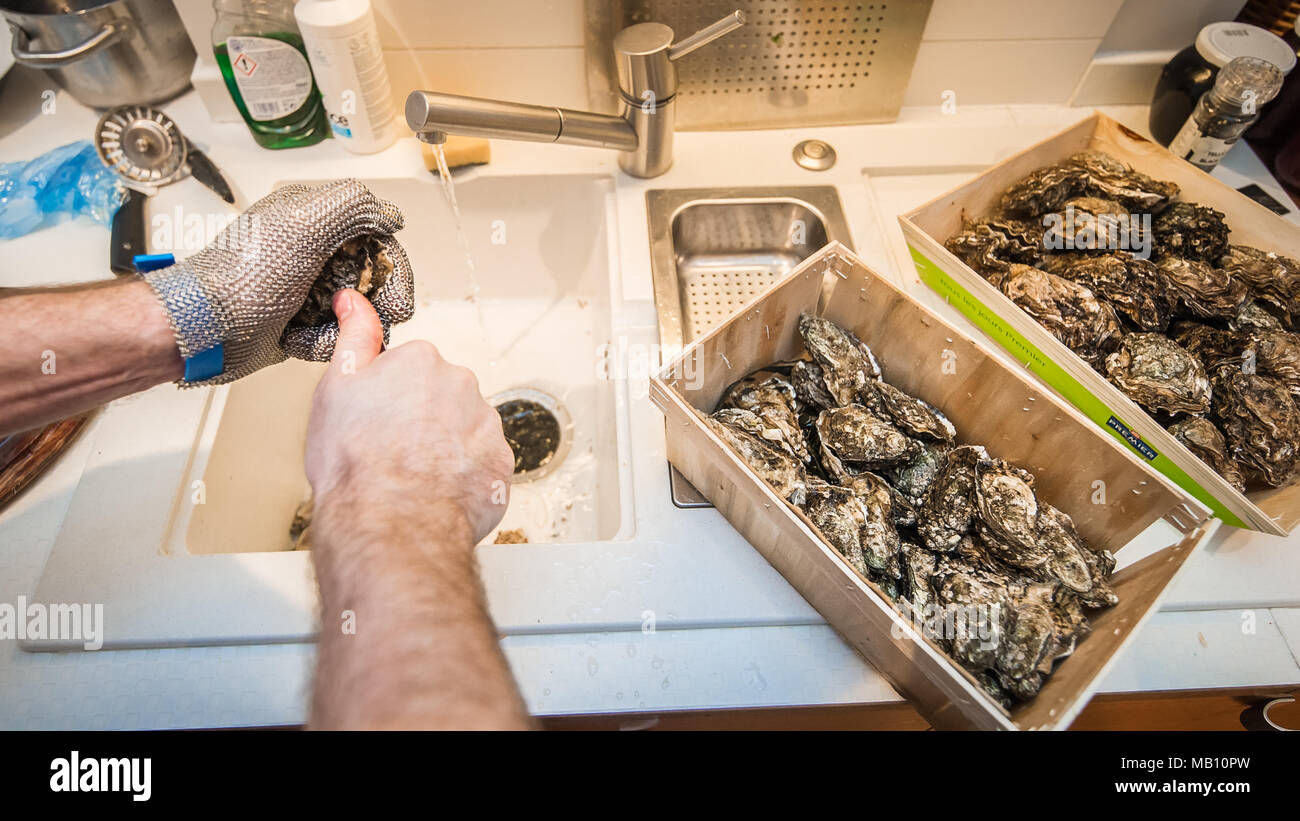 Preparing oysters (opening for eating Stock Photo Alamy