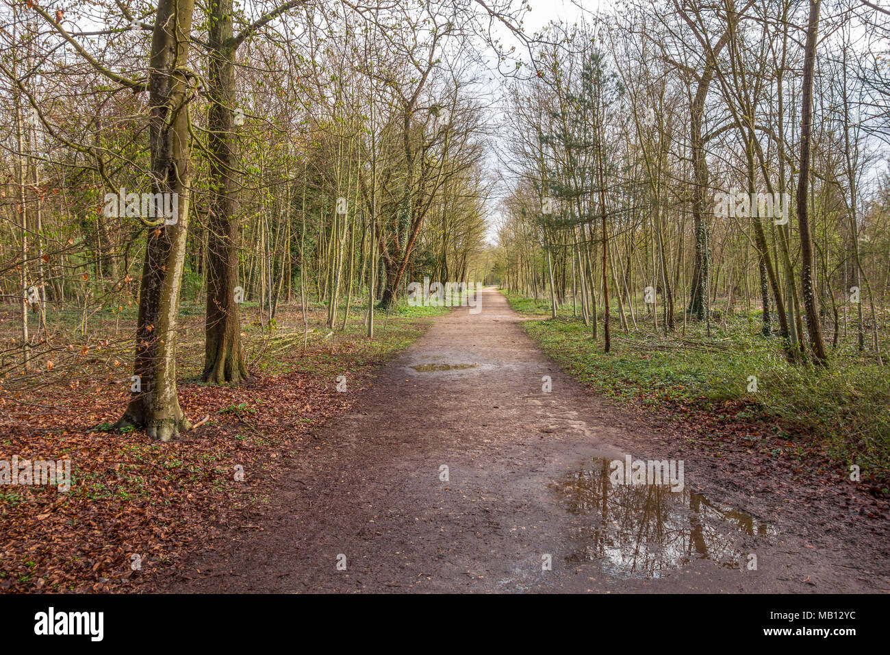 Bois de boulogne hires stock photography and images Alamy