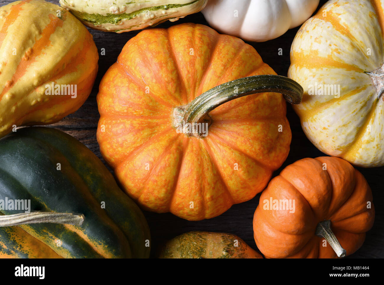 Horizontal overhead closeup shot of a group of decorative Pumpkins, Squash and Gourds. Stock Photo