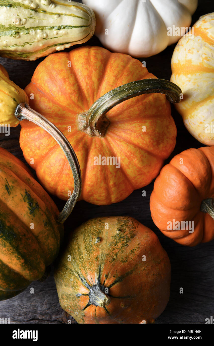 Overhead closeup shot of a group of decorative Pumpkins, Squash and Gourds. Vertical Format. Stock Photo