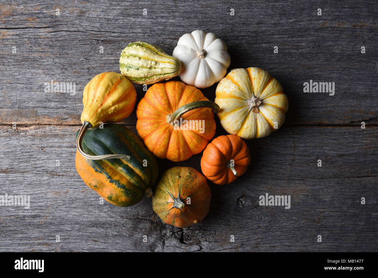 Closeup shot of a group of decorative Pumpkins, Squash and Gourds with copy space. Stock Photo