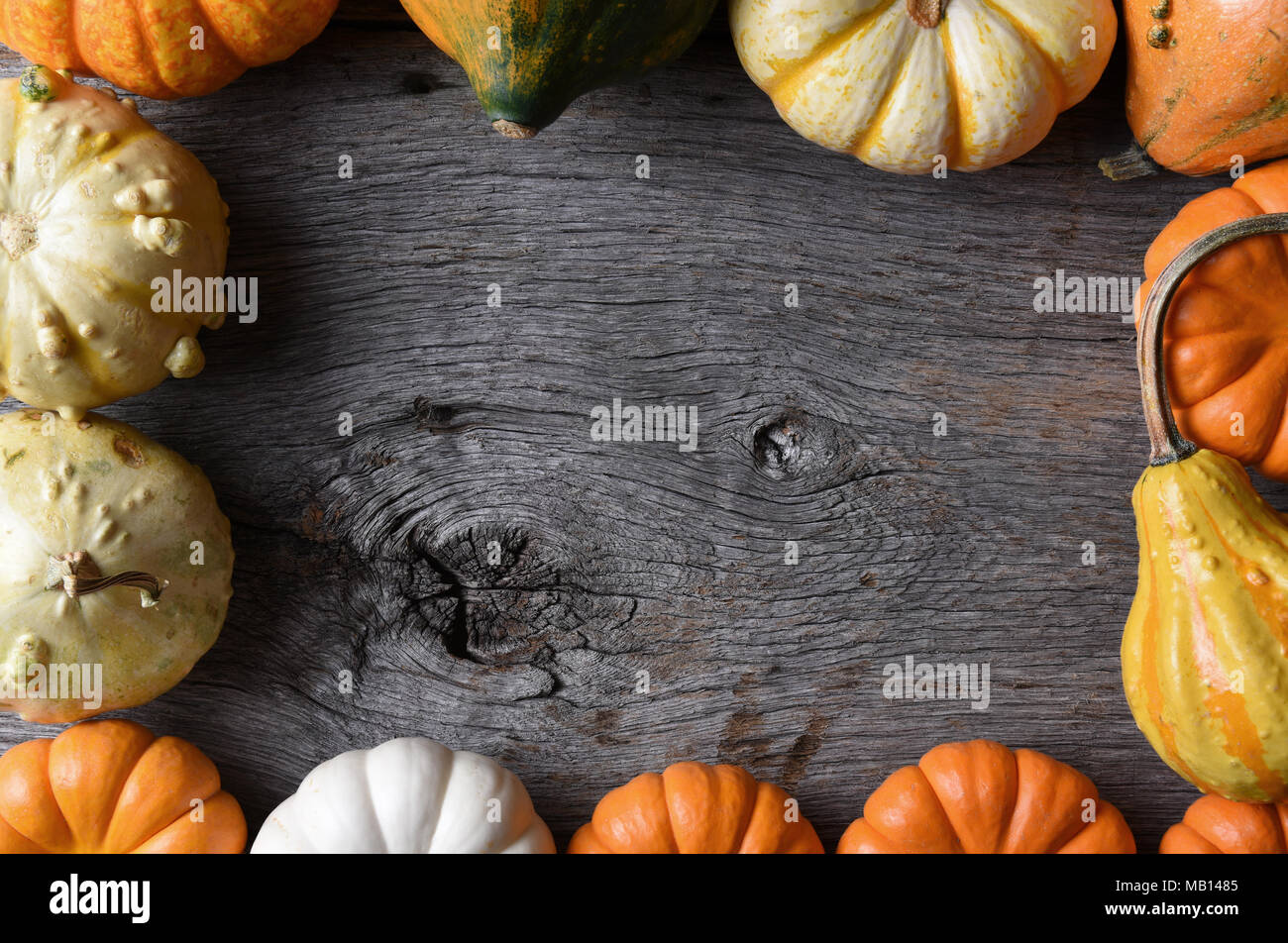 Closeup shot of a group of decorative Pumpkins, Squash and Gourds on a rustic wood table. The vegetables form a frame. Stock Photo