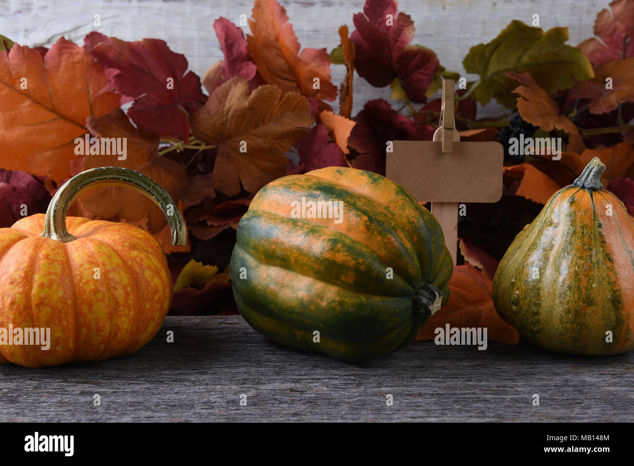 Autumn Farm Stand with gourds and pumpkins and Fall Leaves. A blank price sign is behing the produce. Stock Photo