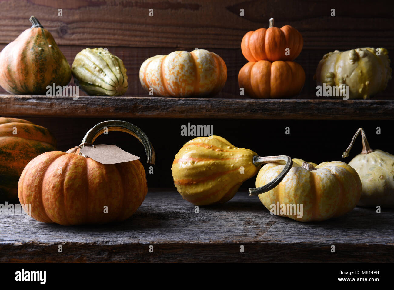 Farm stand with Autumn vegetables including gourds, pumpkins and squash. Stock Photo