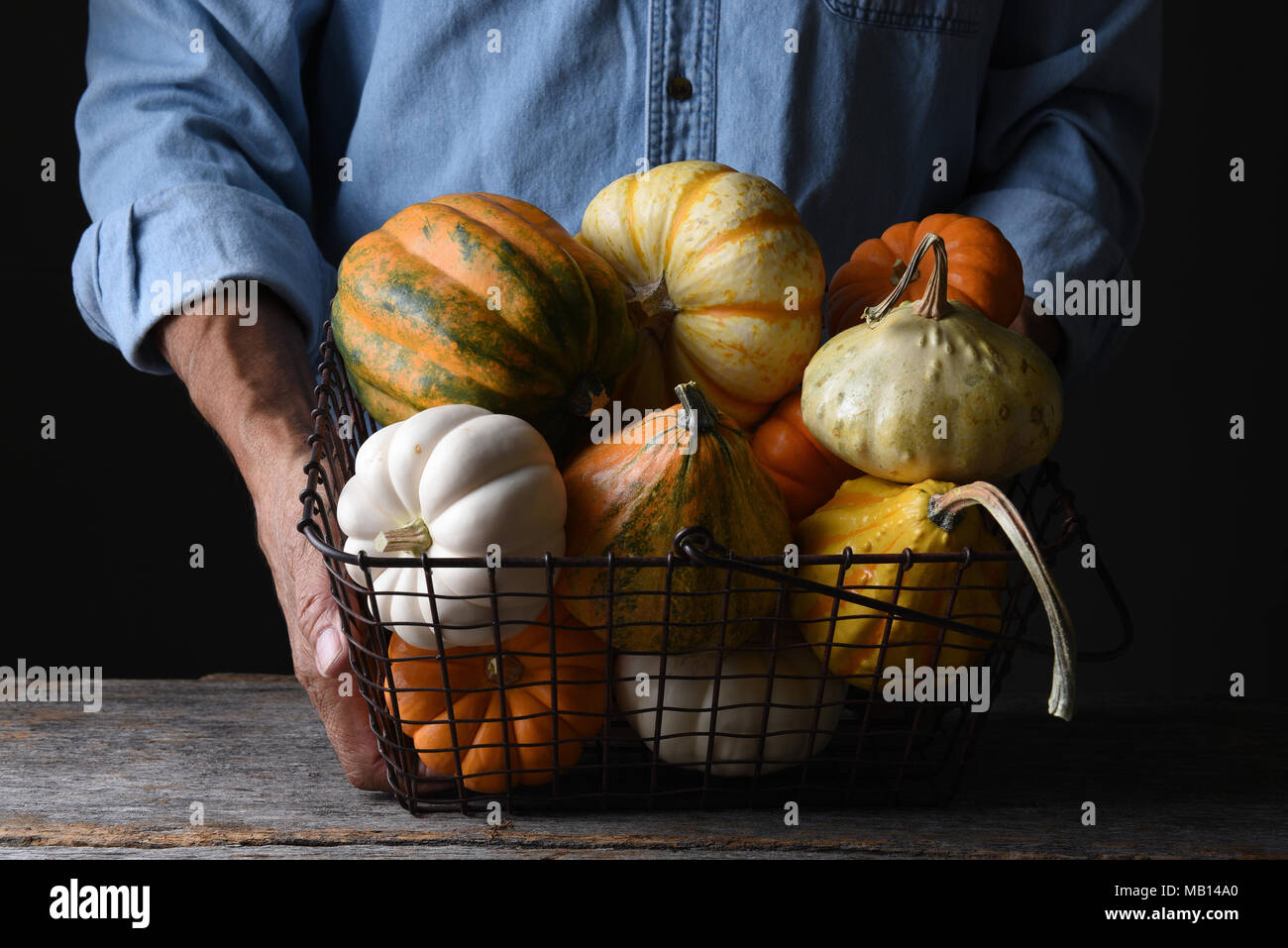 Farmer at his stand holding a wire basket of Autumn vegetables and decorative gourds and pumpkins. Stock Photo
