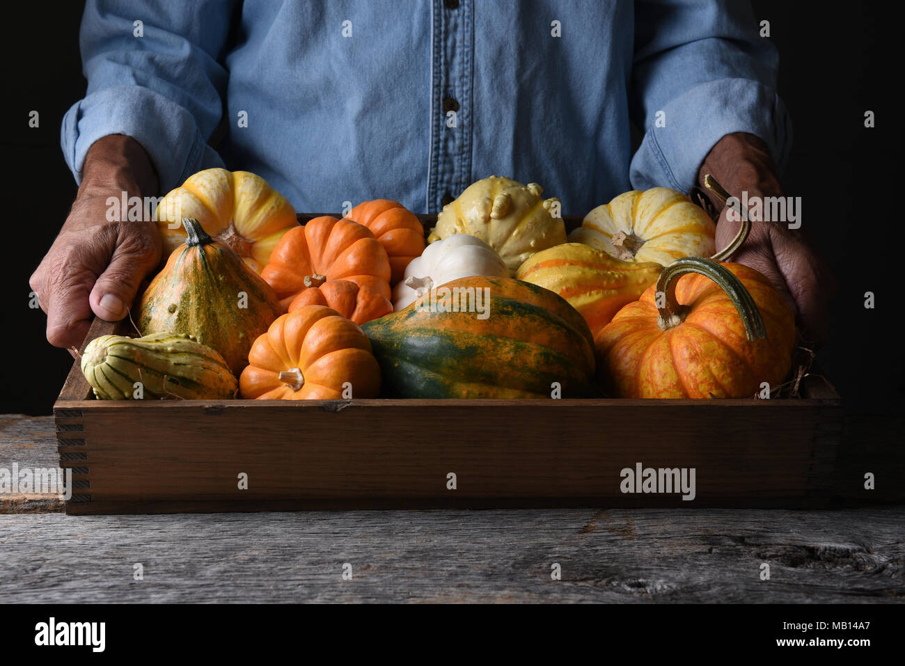 Farmer at his stand holding a wood crate of Autumn vegetables and decorative gourds and pumpkins. Stock Photo