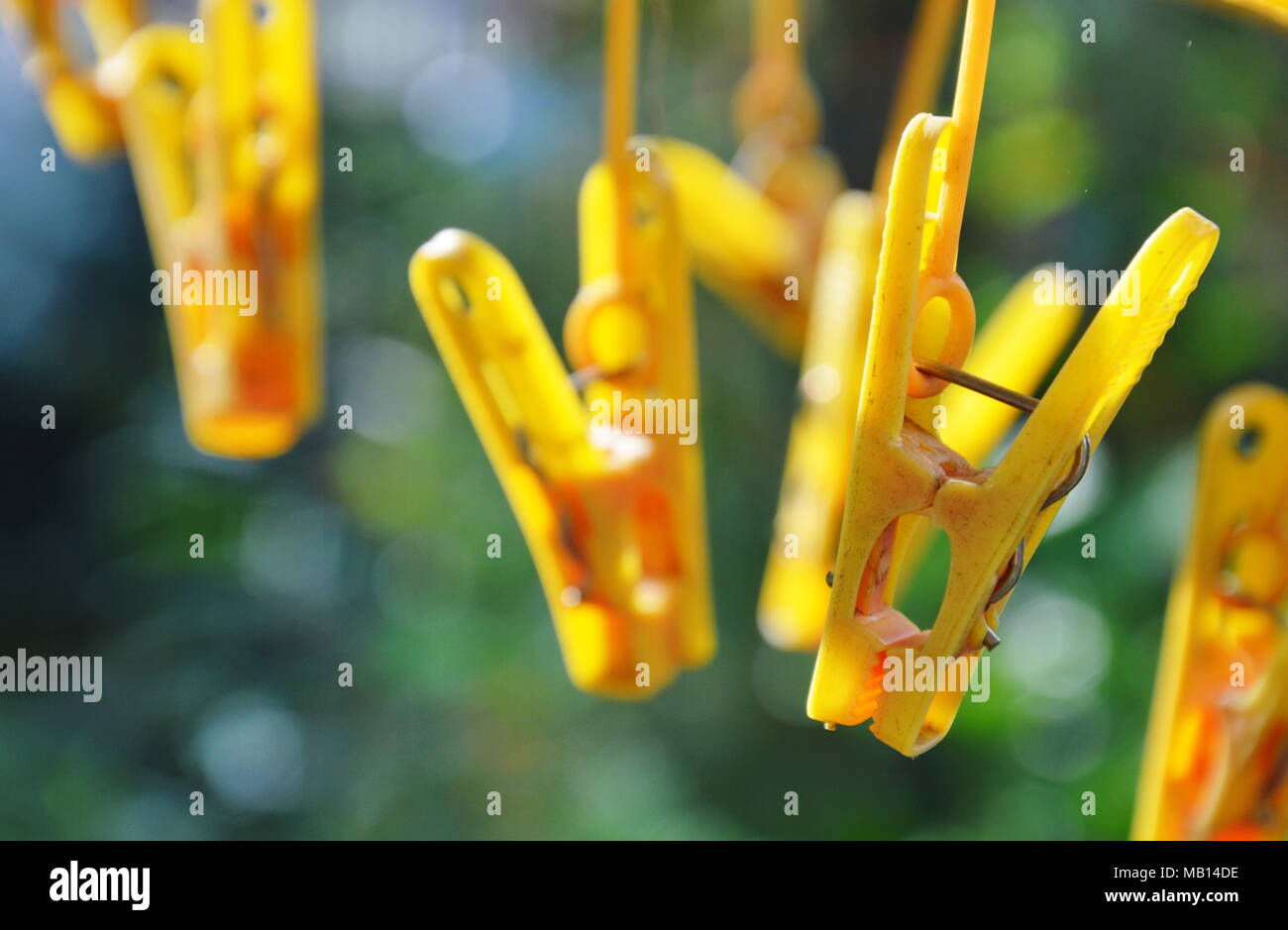 yellow plastic clothes peg hanging on garden Stock Photo Alamy