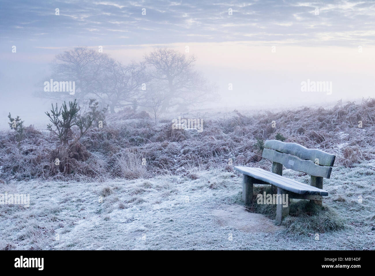 Seat with a view, cold and misty sunrise, Ashdown Forest, Sussex, UK Stock Photo