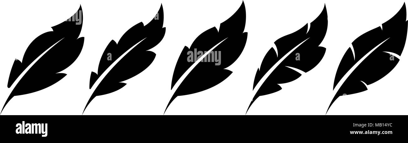 Feather vector hi-res stock photography and images - Alamy