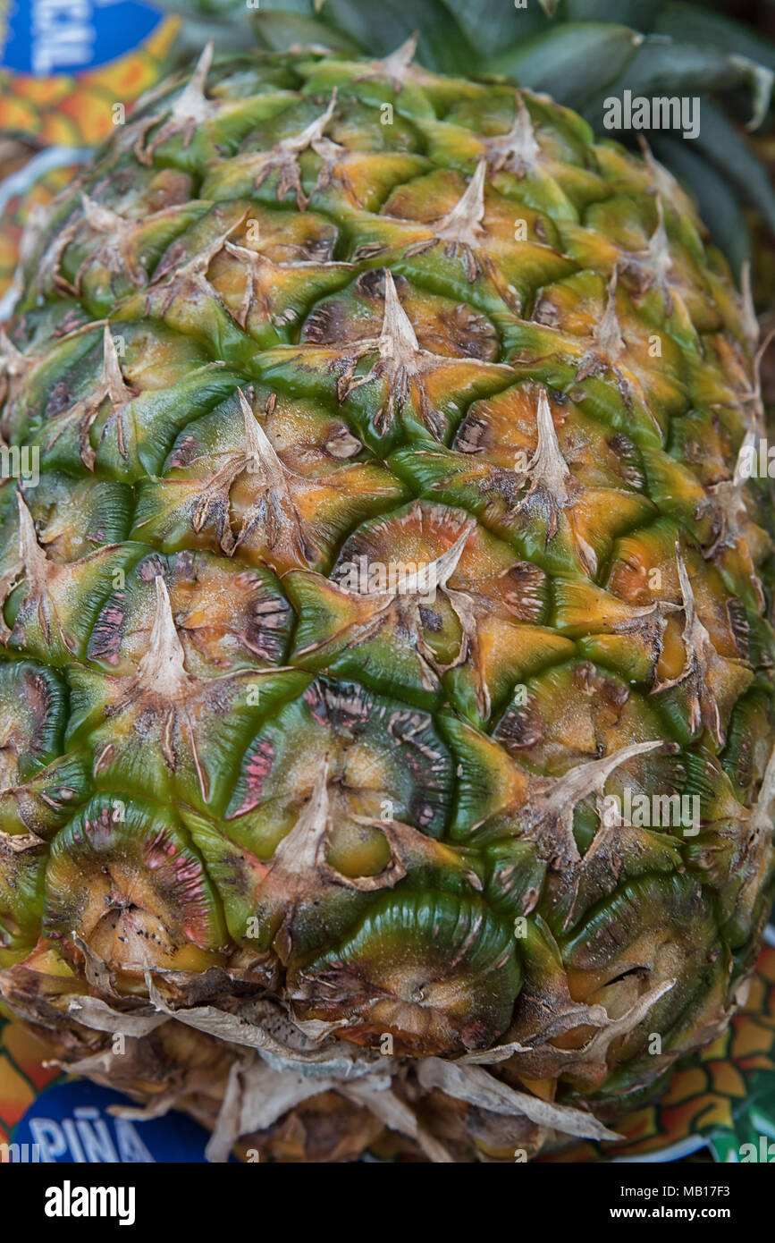 Detailansicht einer frischen Ananas Stock Photo