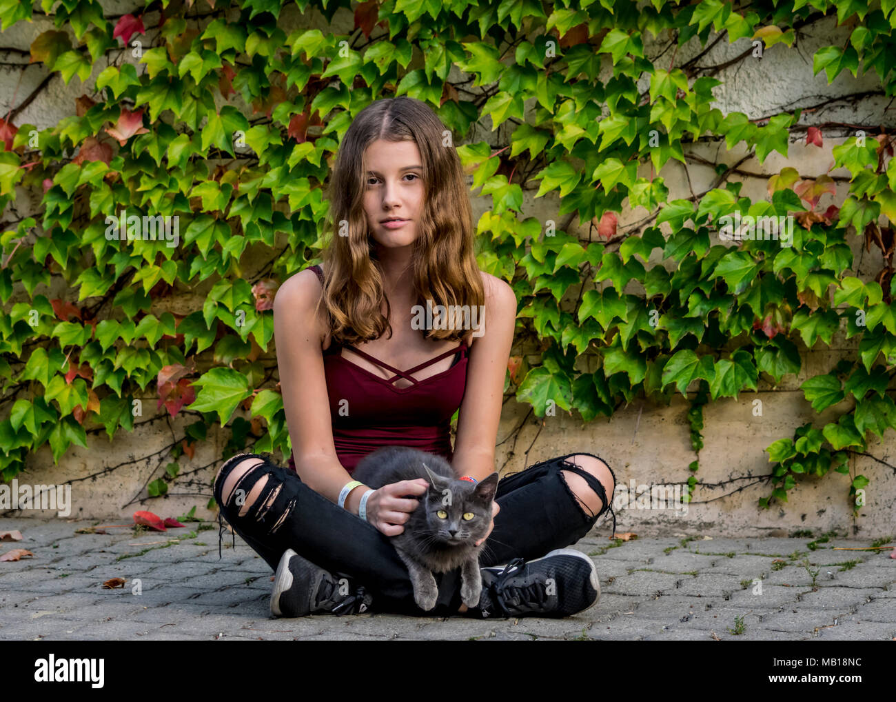 Beautiful Caucasian teenage girl sits in garden with her pet cat. Pretty teen girl, summer, top, sits cross legged cuddles cute grey kitten, outdoors. Stock Photo