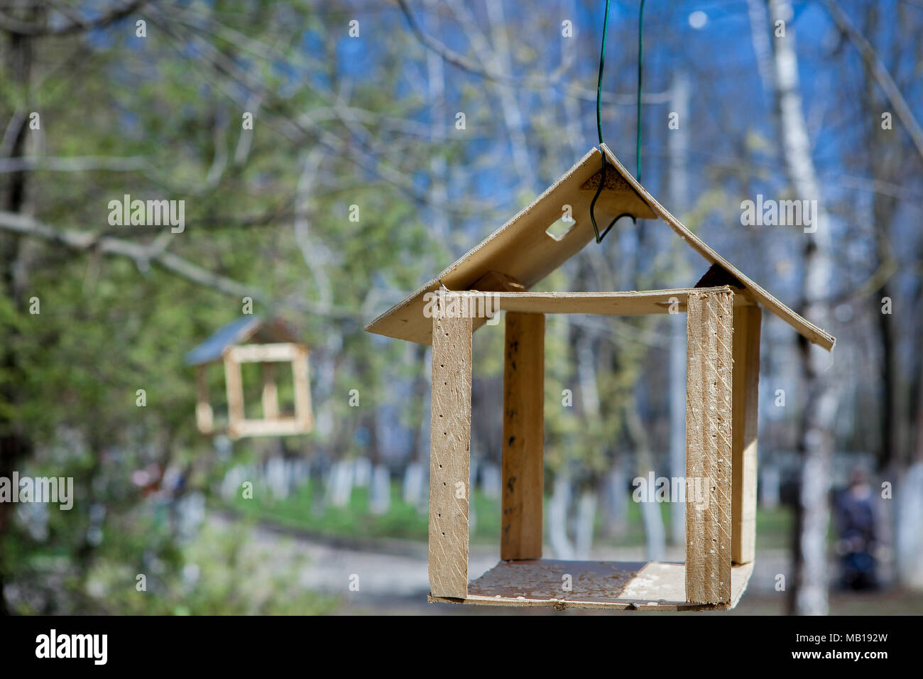 Wooden Bird Feeder Hanging On A Branch Of Green Tree Nature Care