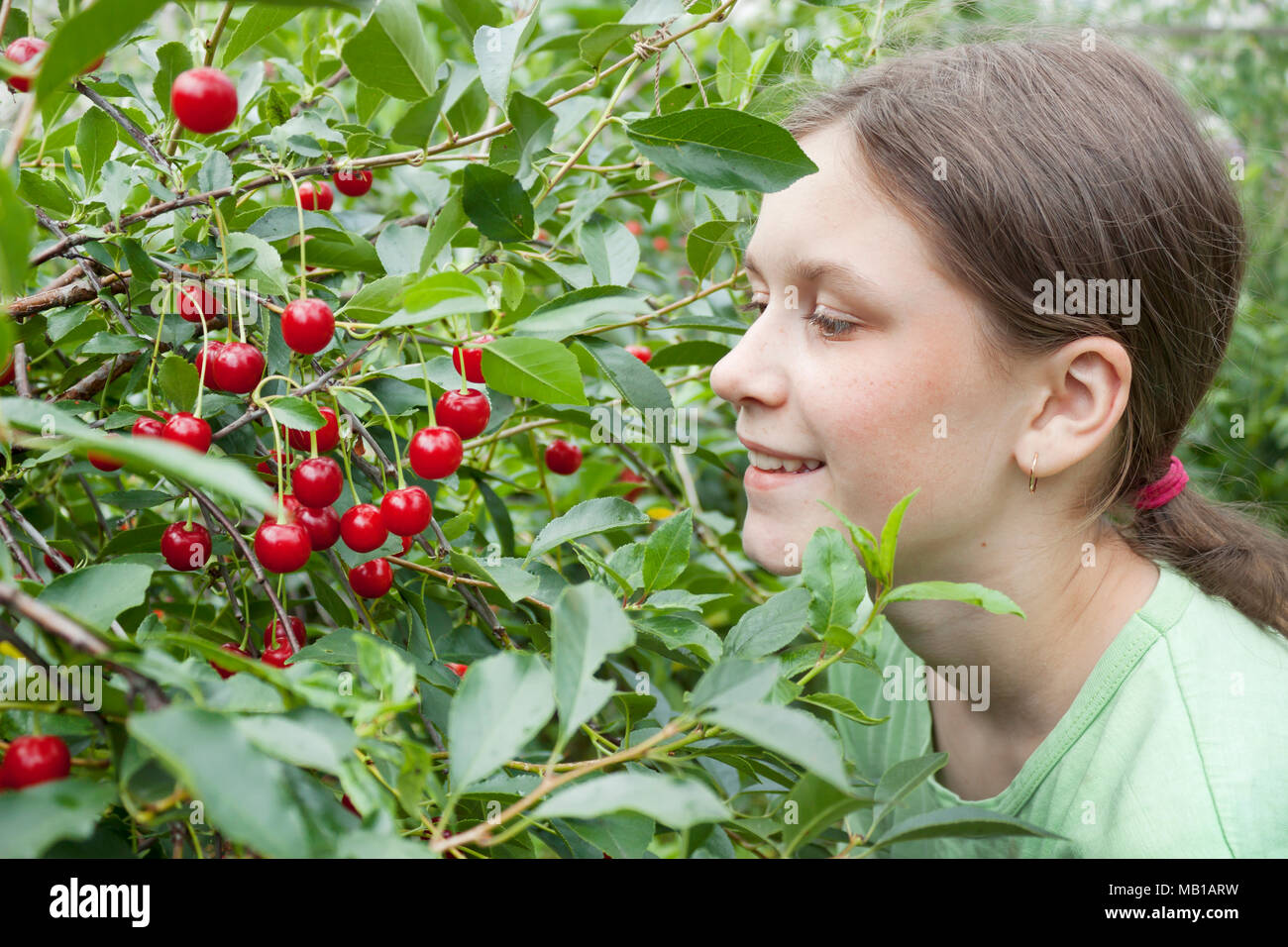 Girl under the cherry tree in the garden Stock Photo - Alamy