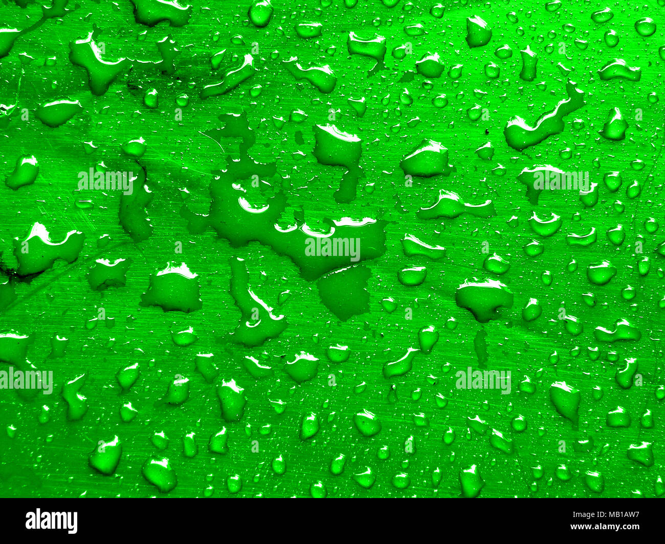 water drops on lime green metallic surface Stock Photo