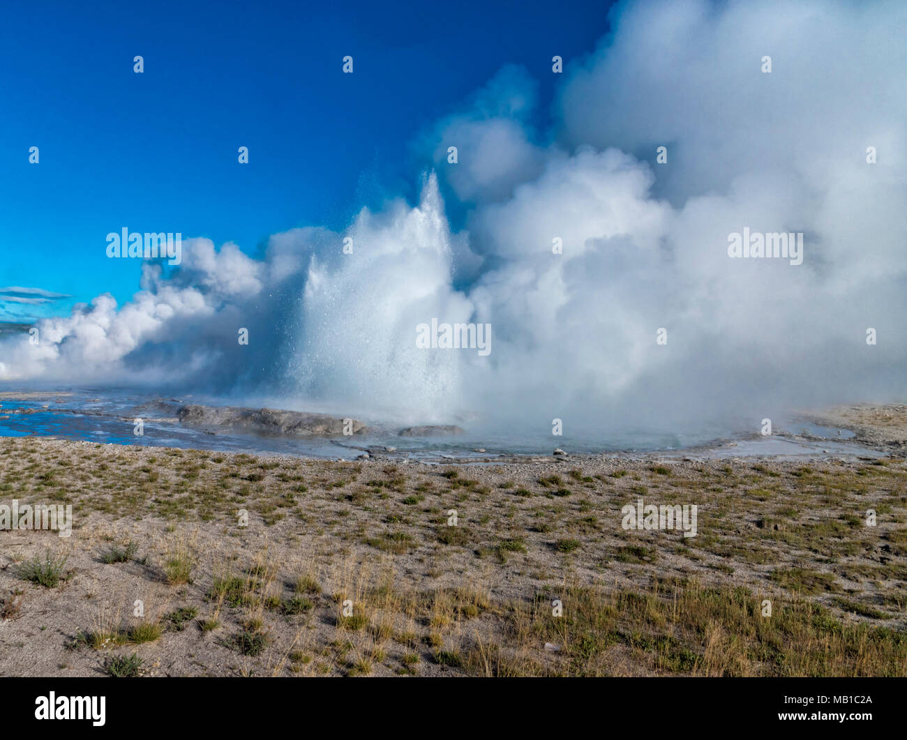 Vaccant  field with geysers erupting with steam and hot water again a blue sky. Stock Photo