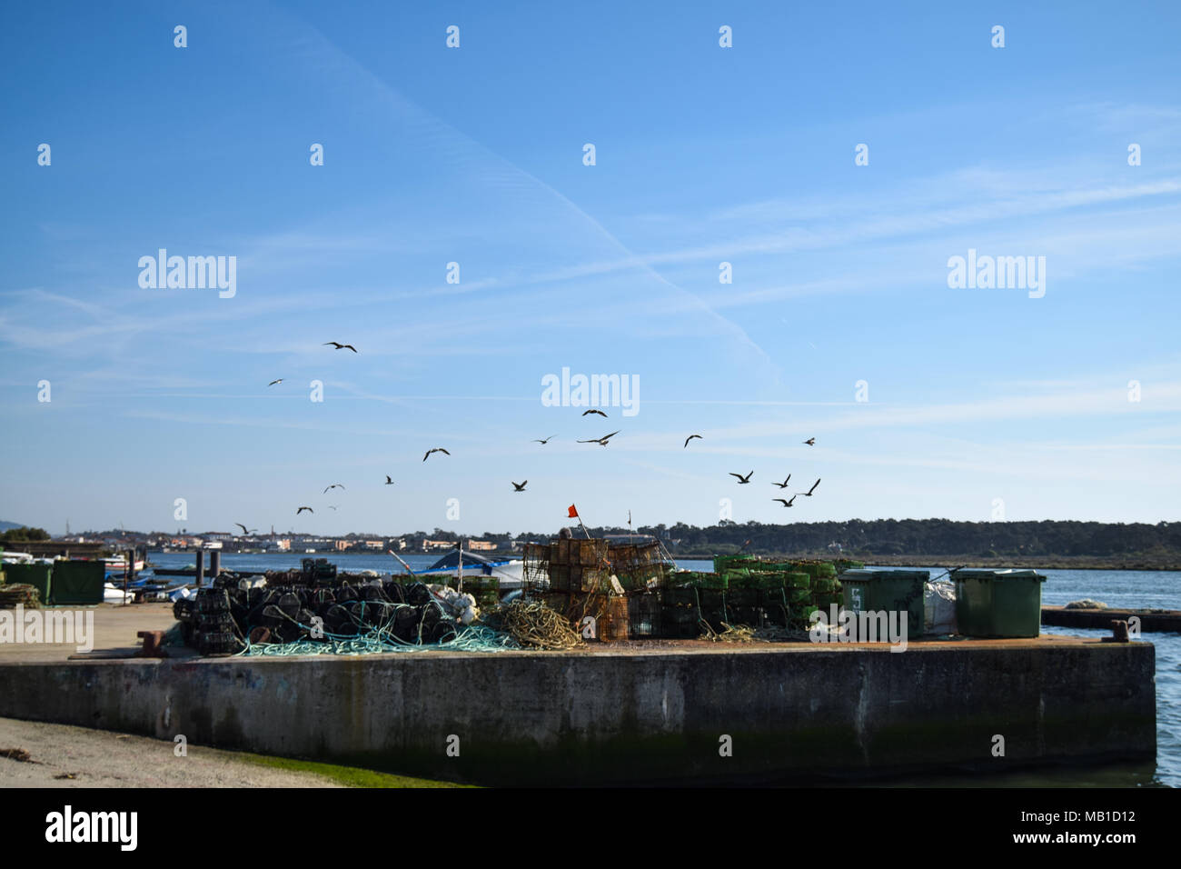 Seagulls flying over fishing activities port with cages for crab catching in Esposende north of Portugal Stock Photo