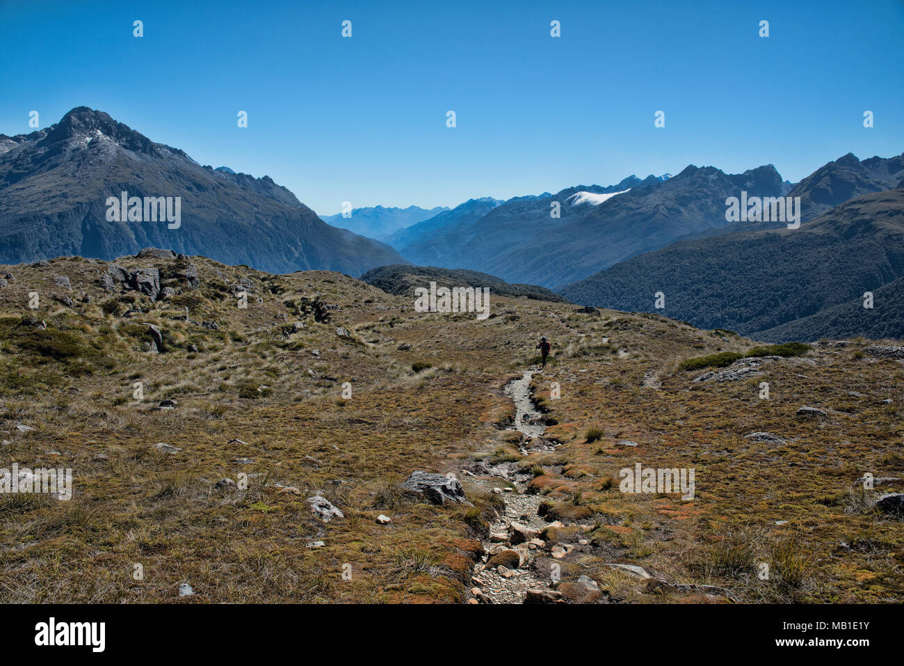 Hiking along the Key Summit ridge off the Routeburn Track, Fjordland, New Zealand Stock Photo ...