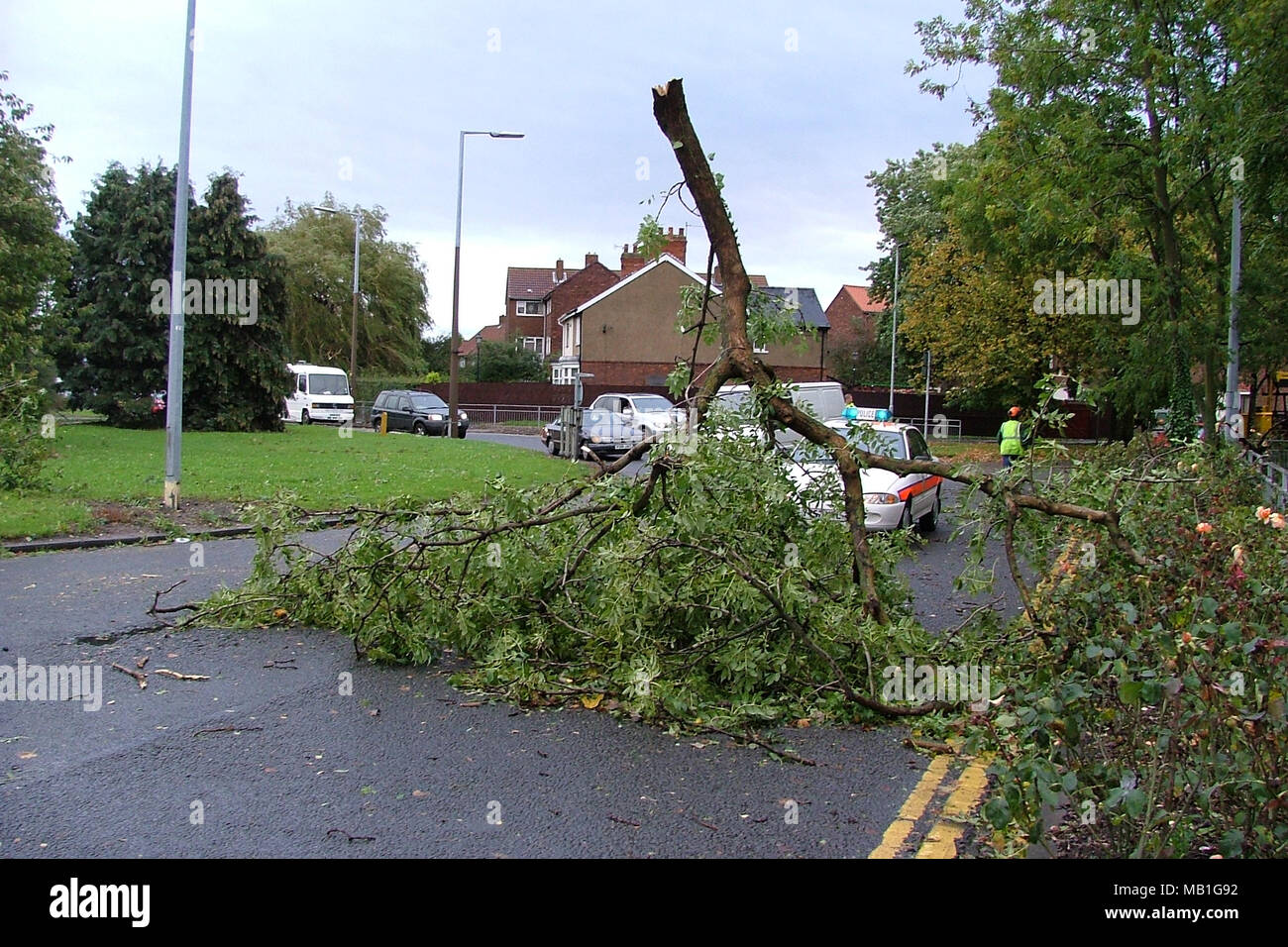 Tree blocking road hi-res stock photography and images - Alamy