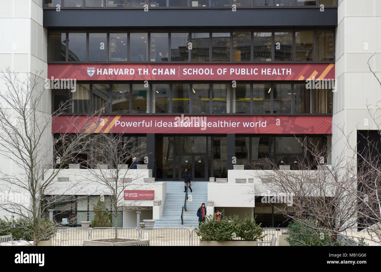 T.H. Chan School of Public Health, Harvard Stock Photo
