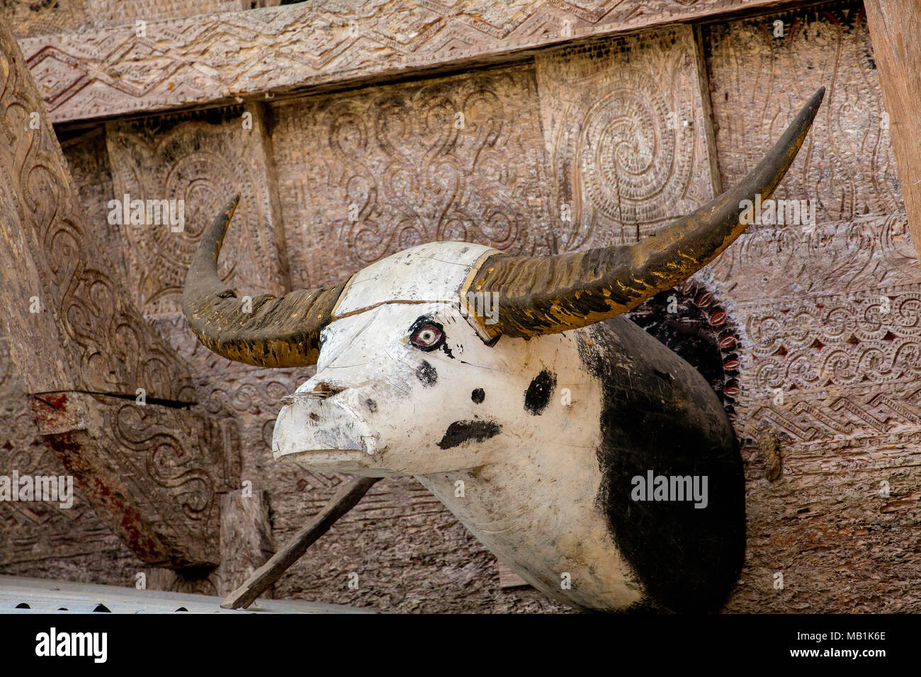 Tana Toraja - a wooden buffalo head is often placed on the Tongkonan houses and rice barns. South Sulawesi, Indonesia. Stock Photo
