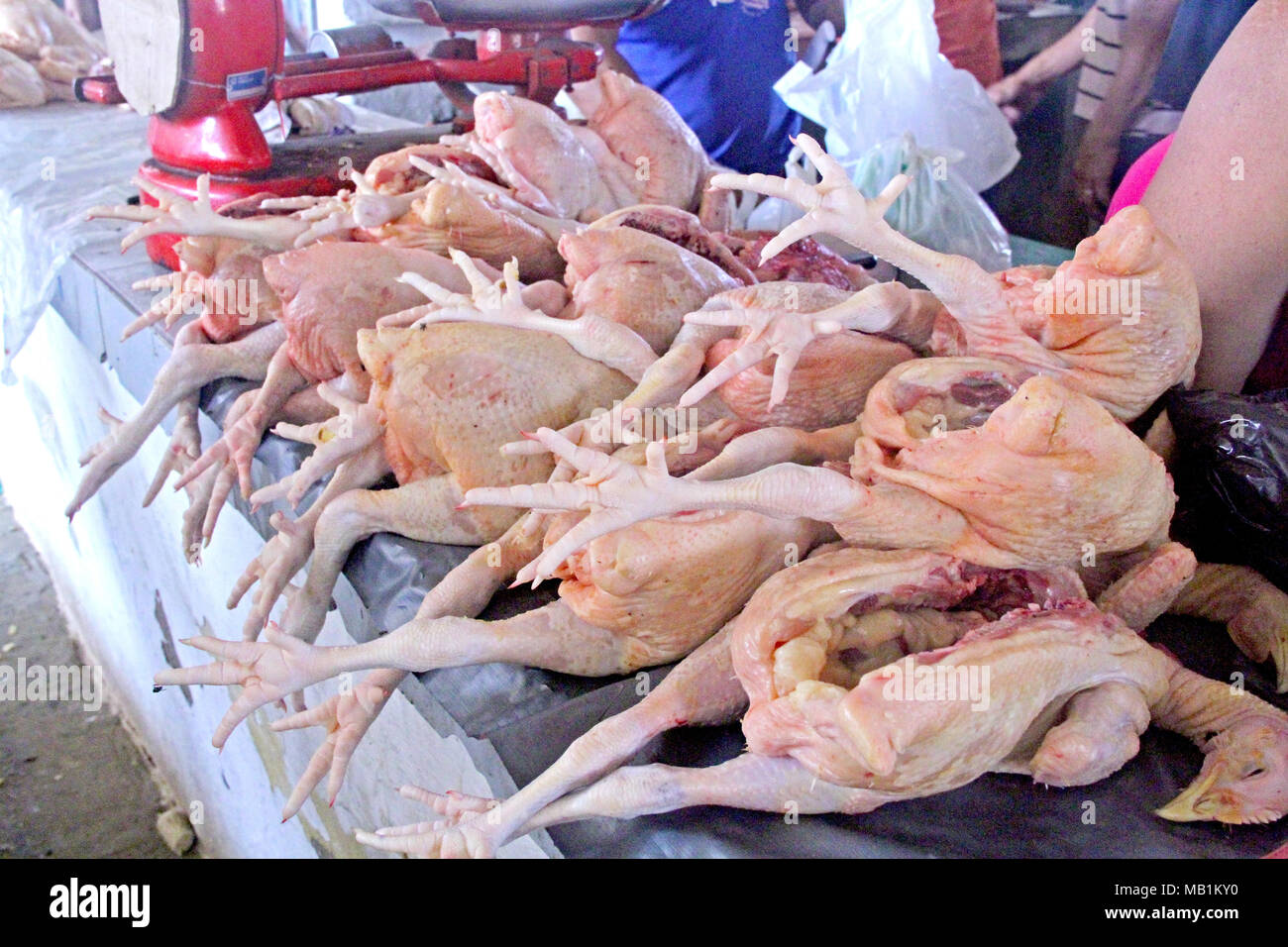 Chicken, free market, Belem, Paraiba, Brazil Stock Photo