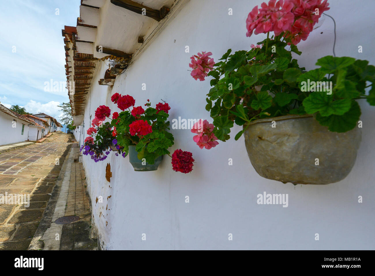 Flowers in a colonial street in the village of Barichara, declared a national heritage, Colombia. Stock Photo