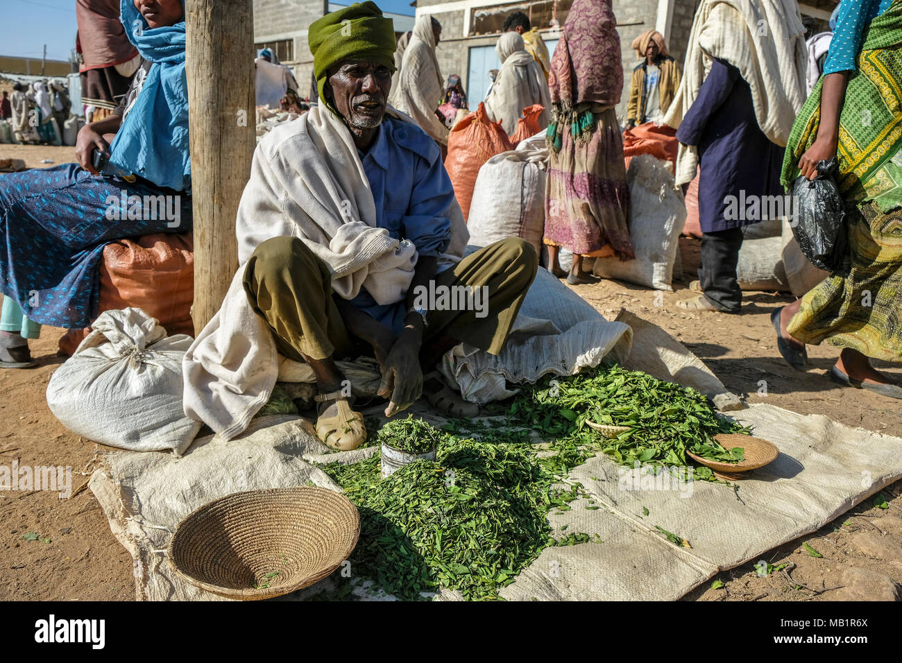 Hawzien, Tigray, Ethiopia - January 10, 2018: An unidentified man selling khat in the Hawzien market in Hawzien, Tigray region, Ethiopia. Stock Photo