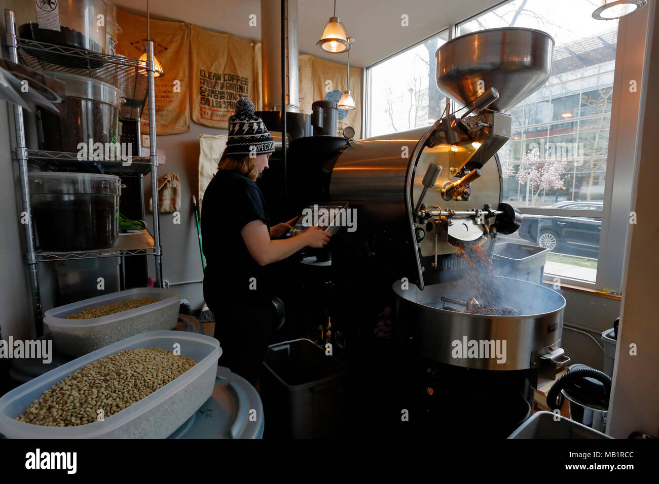 A person operates a Diedrich IR5 coffee roasting machine with freshly roasted coffee beans pouring out, River Trail Roasters, Redmond, Washington. Stock Photo