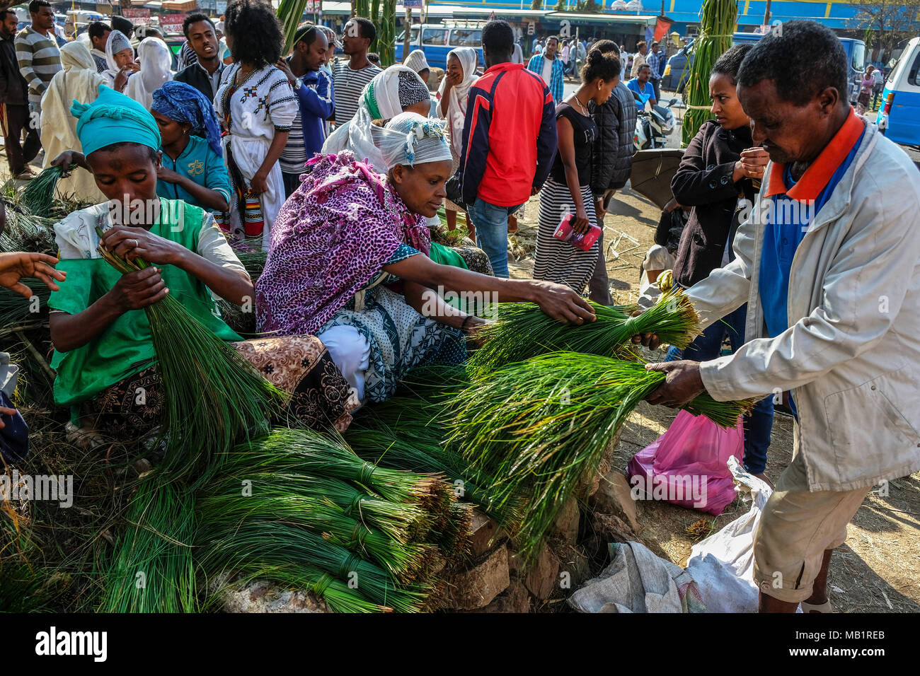 Bahir Dar, Ethiopia January 20, 2018 Freshly cut grass which used