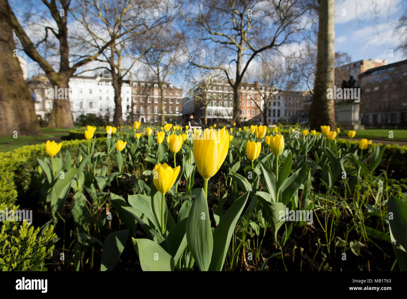 St James's Square, one of London's most prestigious garden squares in the exclusive St James's district of City of Westminster, London, England, UK Stock Photo