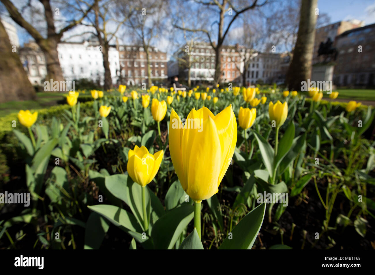 St James's Square, one of London's most prestigious garden squares in ...