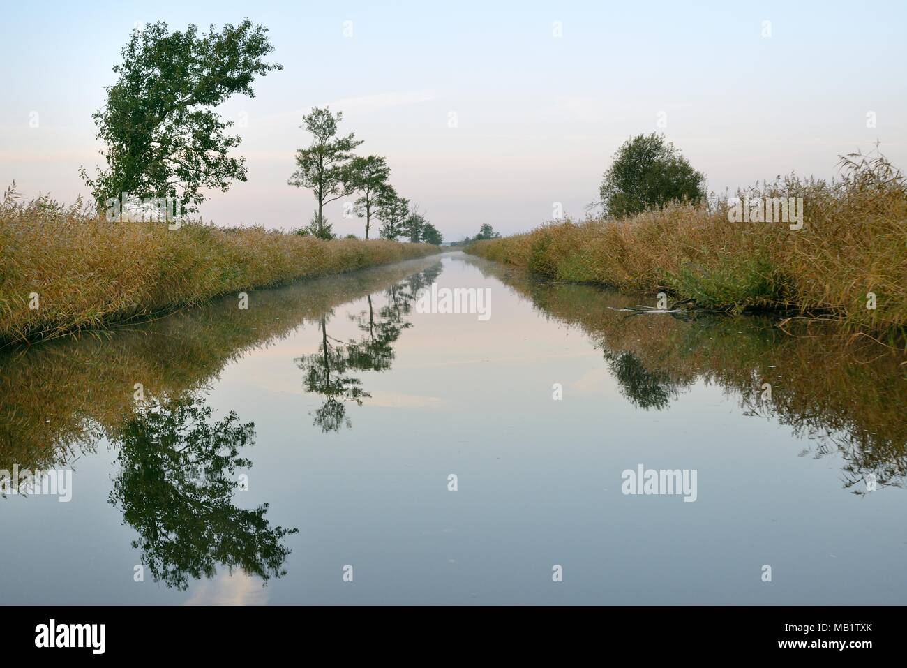 Trees reflected in the Kasari River at dawn in Matsalu National Park, Kloostri, Estonia, September 2017. Stock Photo