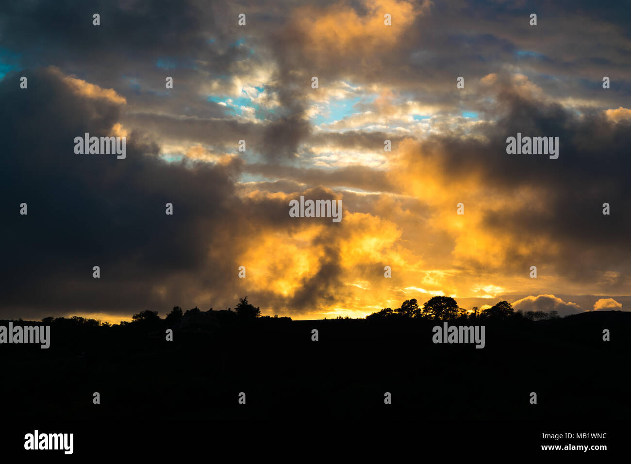 Silhouettes of trees and plants under a cloudy sunset sky Stock Photo ...