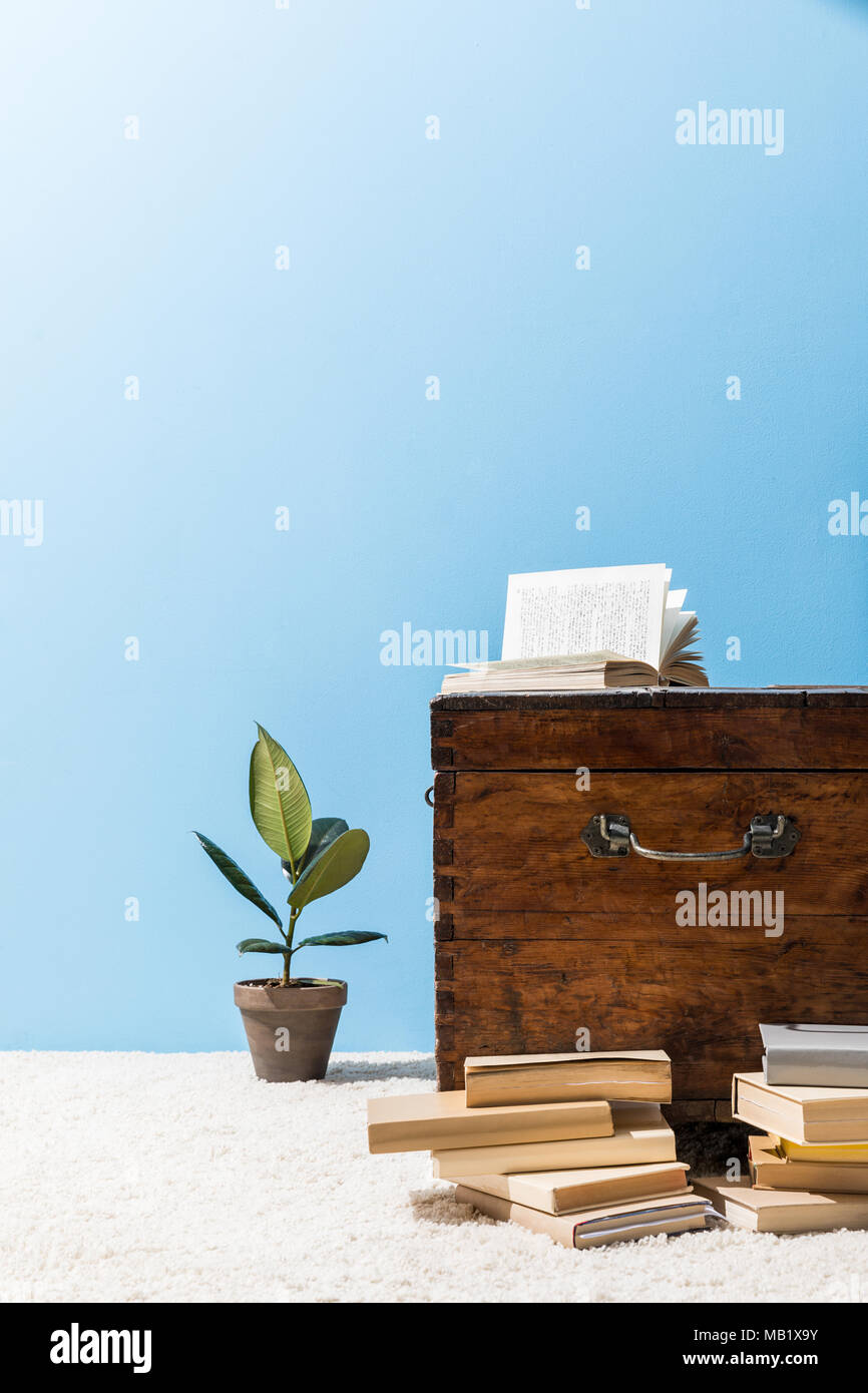 old wooden chest with books and ficus pot in front of blue wall Stock Photo