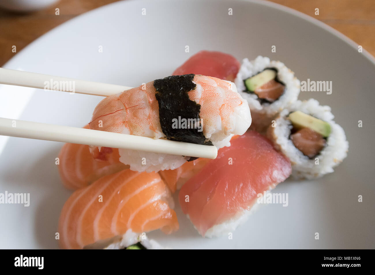 Fresh prawn nigiri sushi between chopsticks with salmon nigiri, salmon and avocado uramaki and tuna nigiri in the background Stock Photo