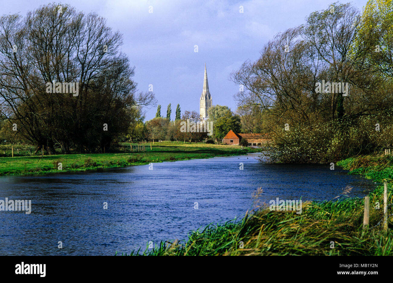 Water Meadows, Salisbury Cathedral, Salisbury, River Avon, Wiltshire, England, UK, GB. Stock Photo