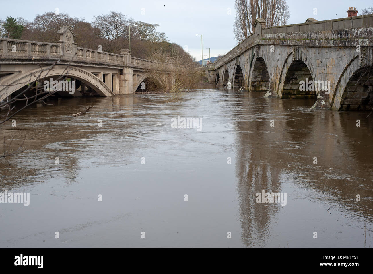 Historic 18th century footbridge and 20th century road bridge at Atcham, Shropshire, England over flooded River Severn in springtime Stock Photo