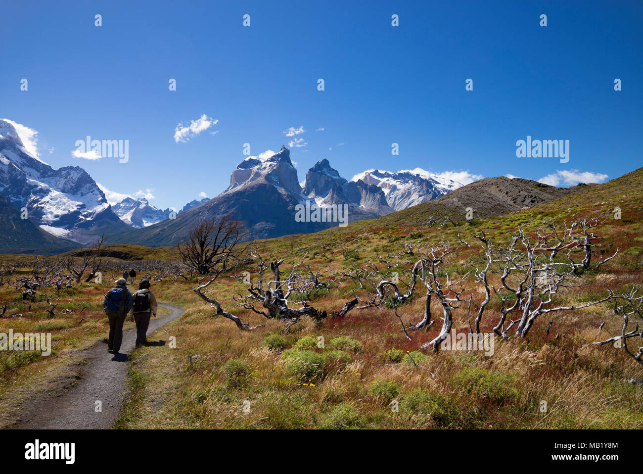 Hikers in Torres del Paine national park, Patagonia, Chile. Stock Photo