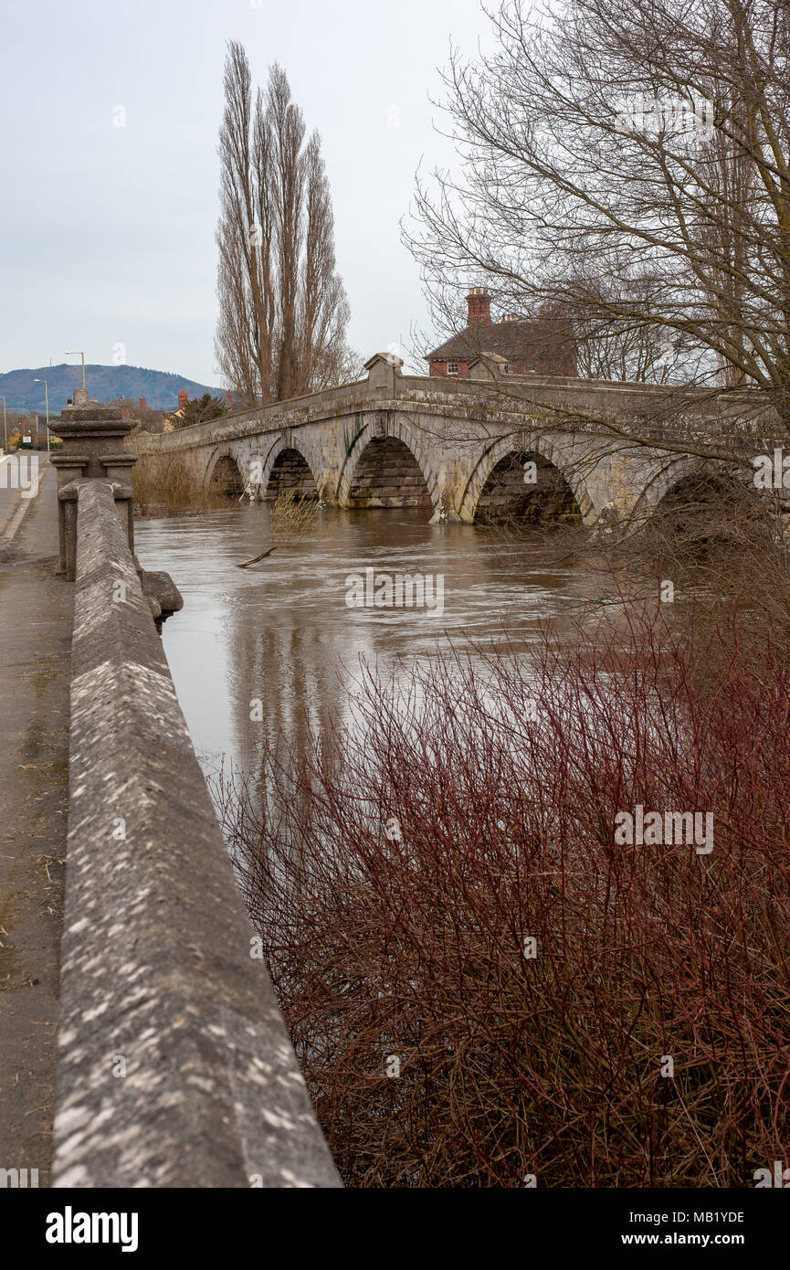Historic 18th century footbridge and 20th century road bridge at Atcham, Shropshire, England over flooded River Severn in springtime Stock Photo