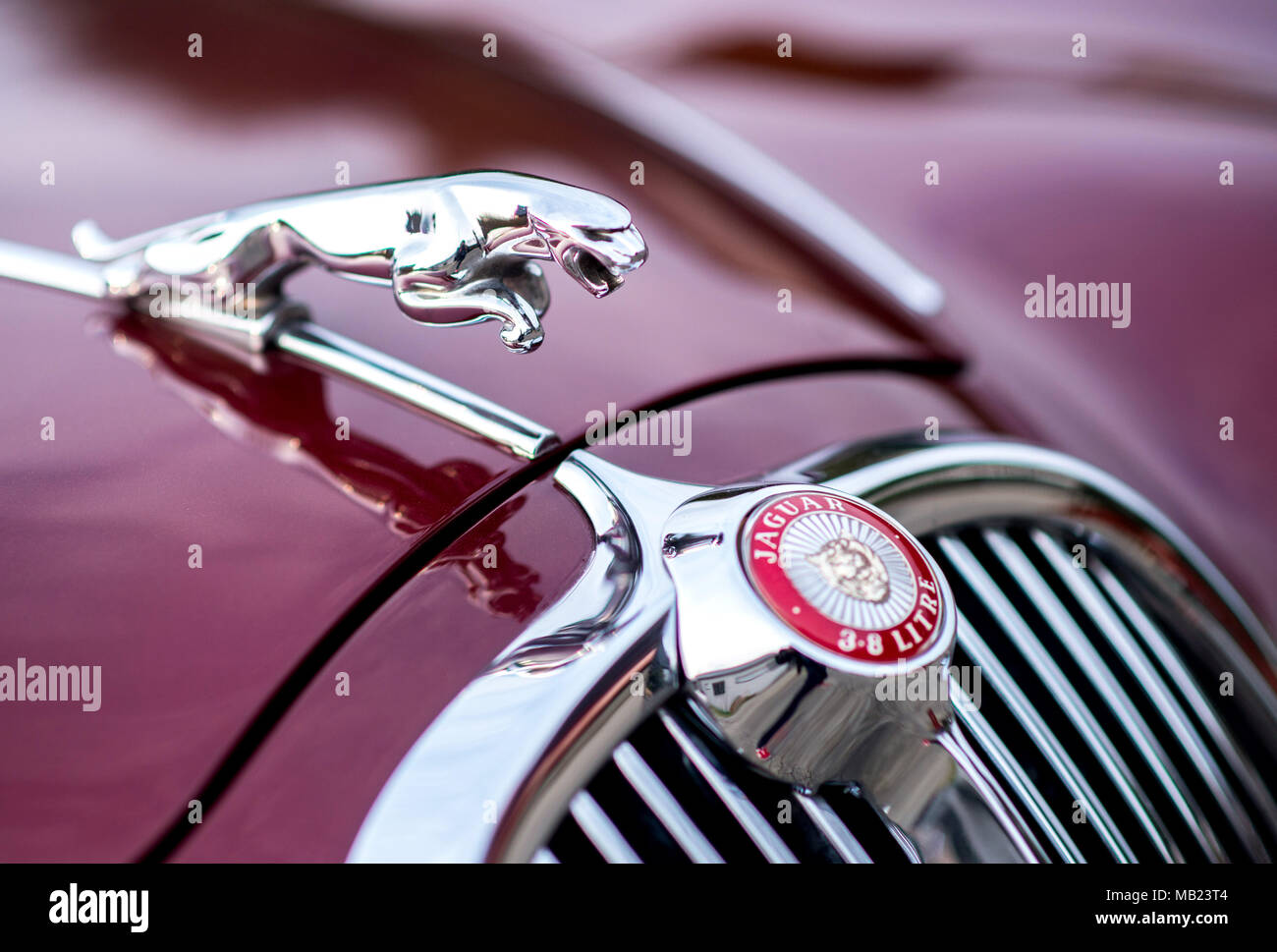 27 March 2018, Germany, Wolfsburg: A juaguar figurine decorates the hood of  the Jaguar S-Type belonging to vintage car collector Horst F. Beilharz.  Photo: Hauke-Christian Dittrich/dpa Stock Photo - Alamy