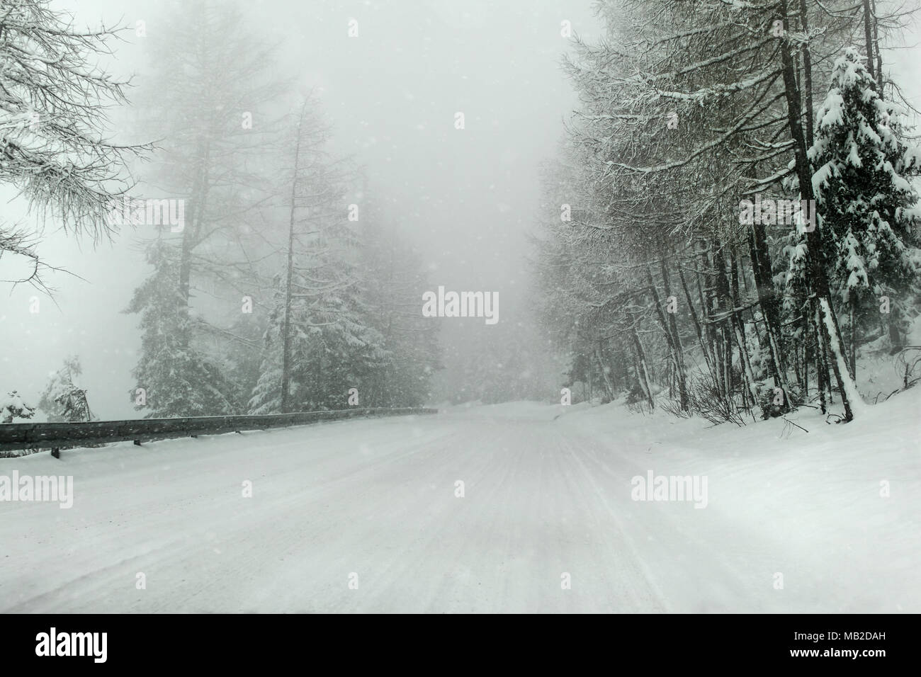 Driving in low visibility hi-res stock photography and images - Alamy