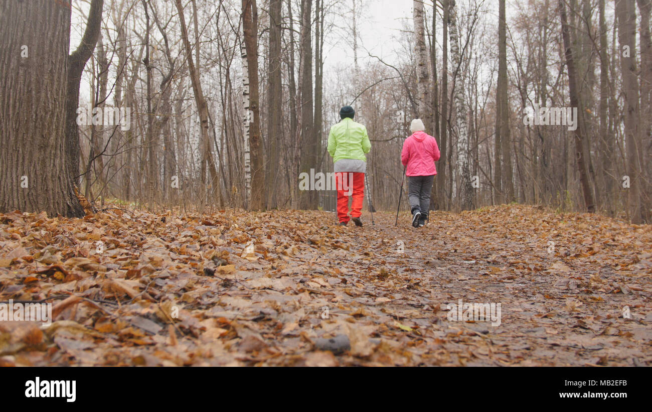 Rear View Of Elderly Women Walking In Park High Resolution Stock ...