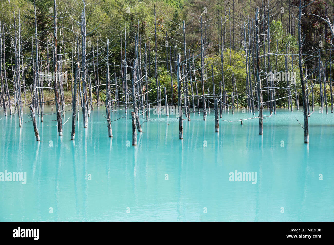 Blue pond in Hokkaido Stock Photo